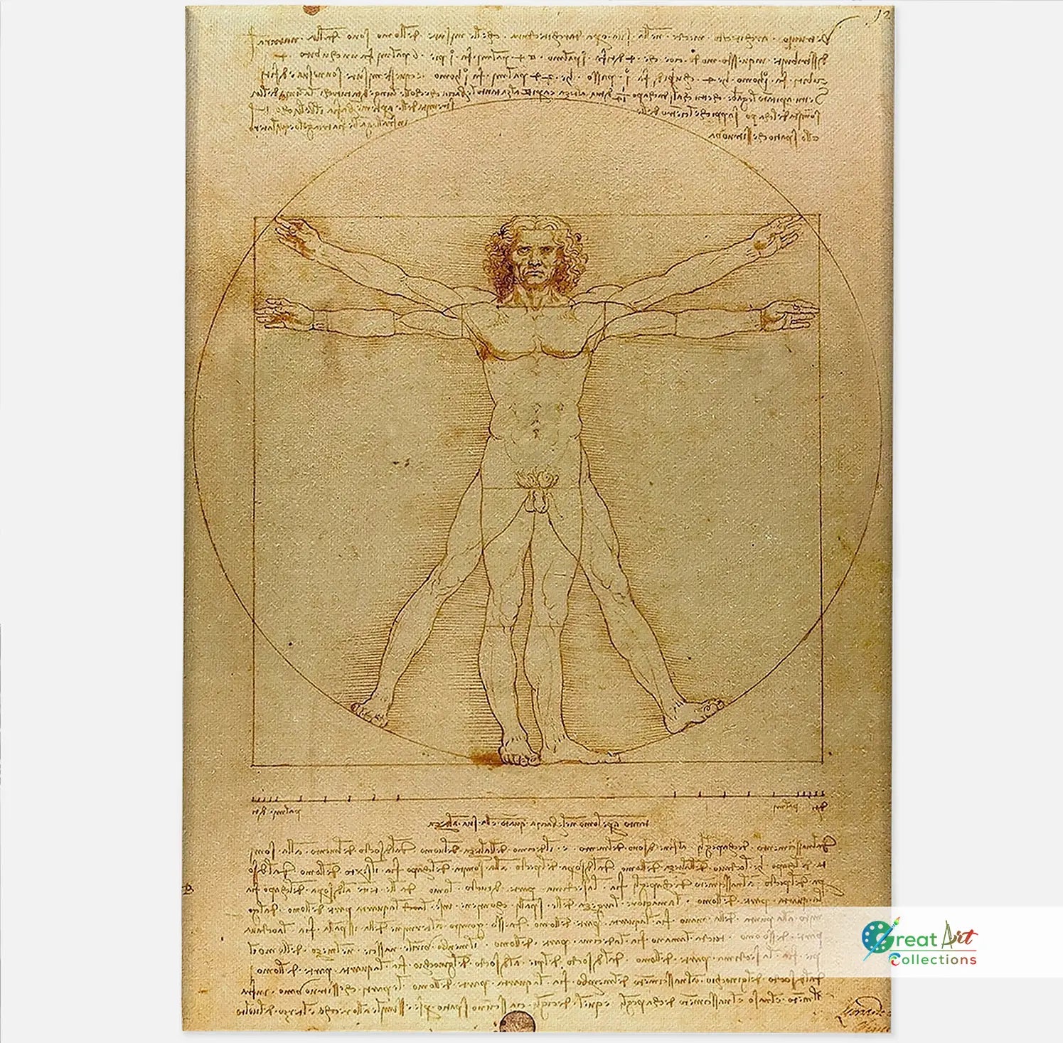 Vitruvian Man Art