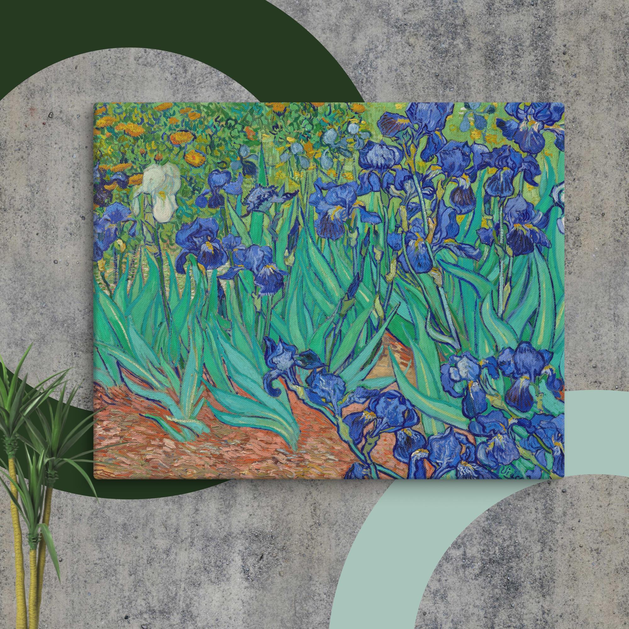 Irises by Vincent van Gogh Canvas Print