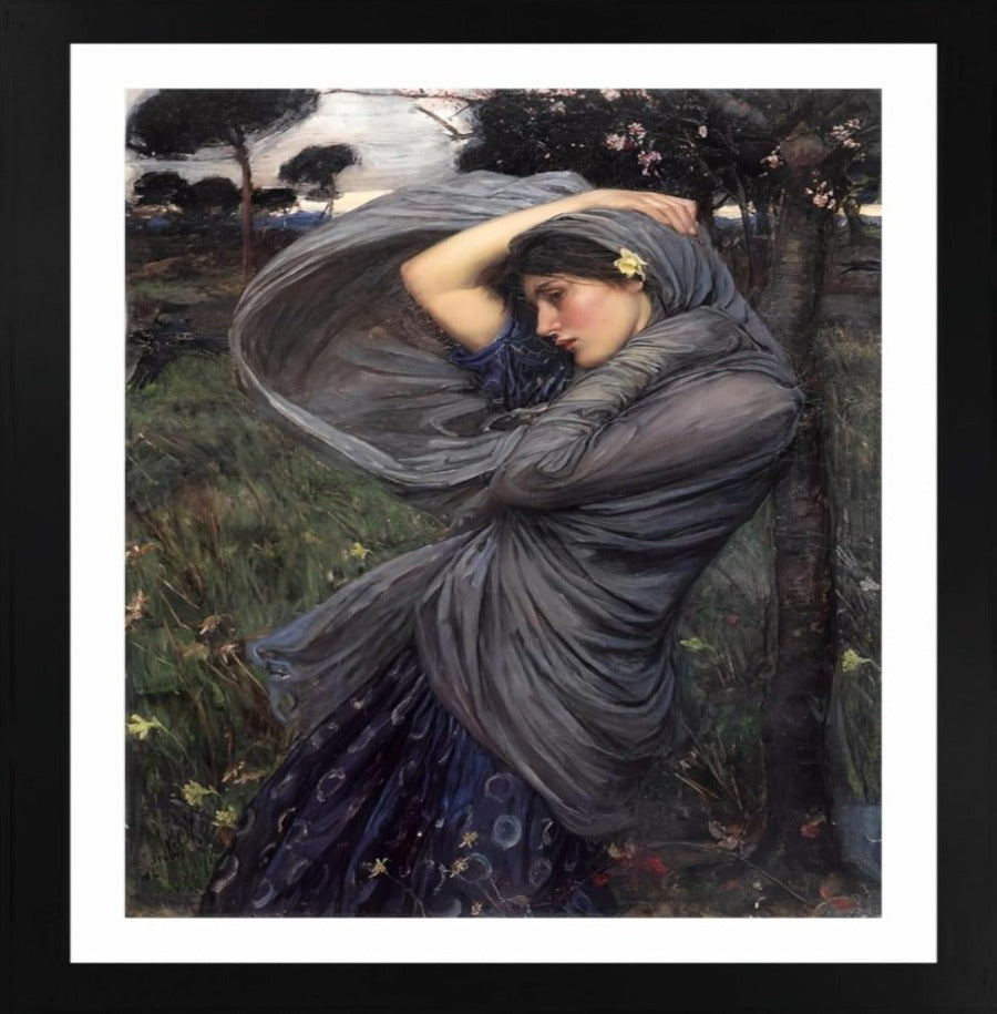 Boreas 