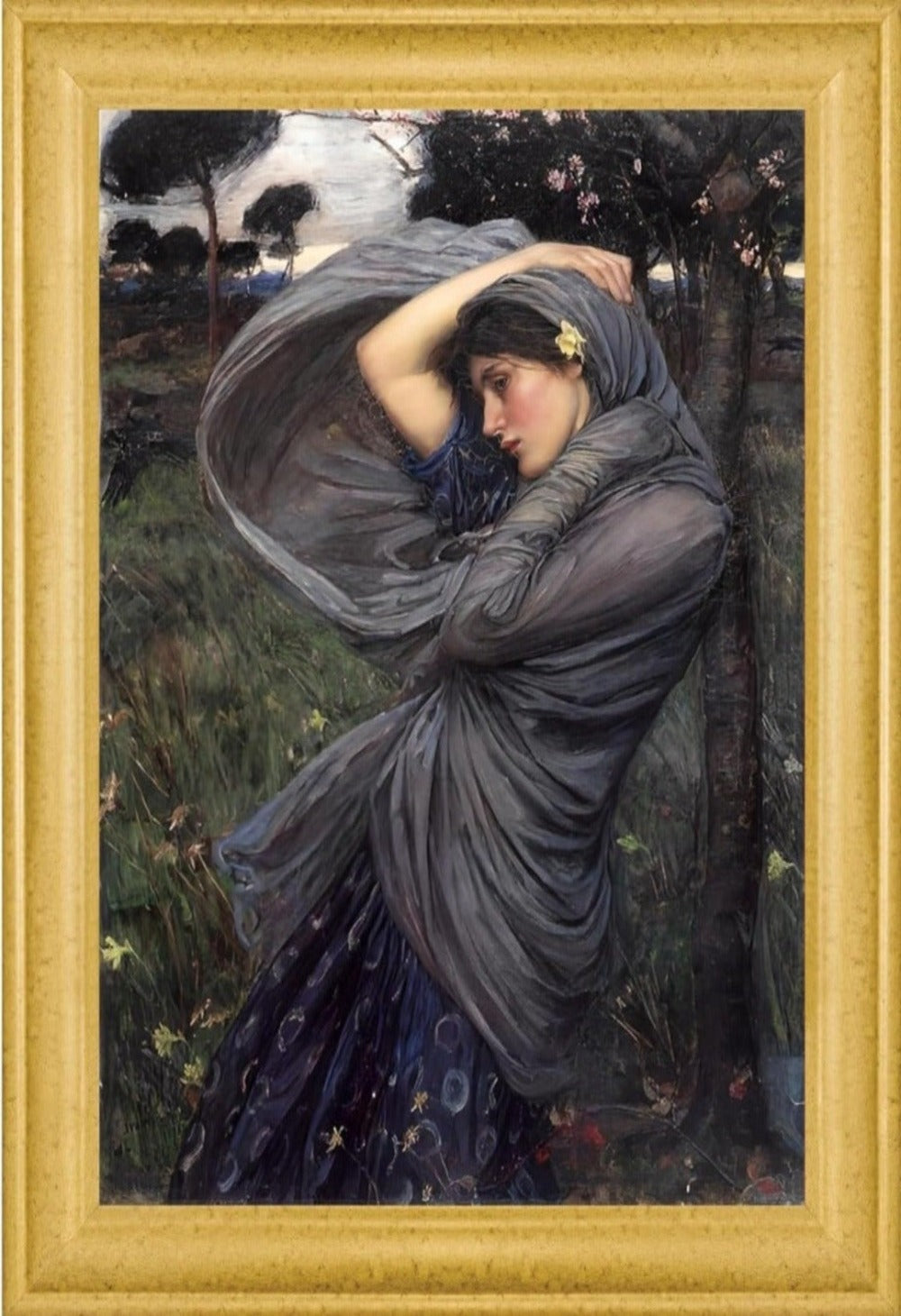 Boreas