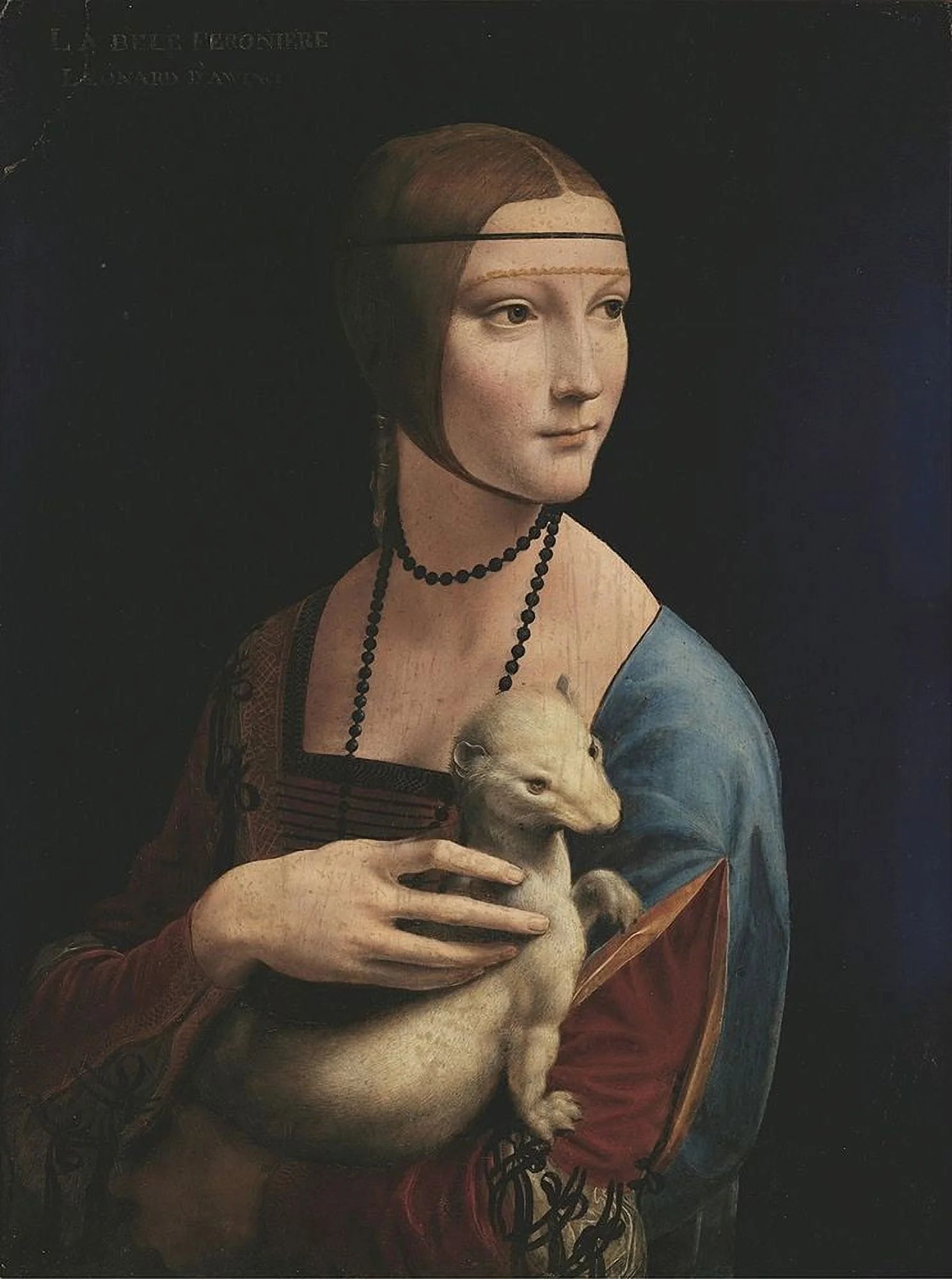 Lady with an Ermine art by Leonardo Da Vinci