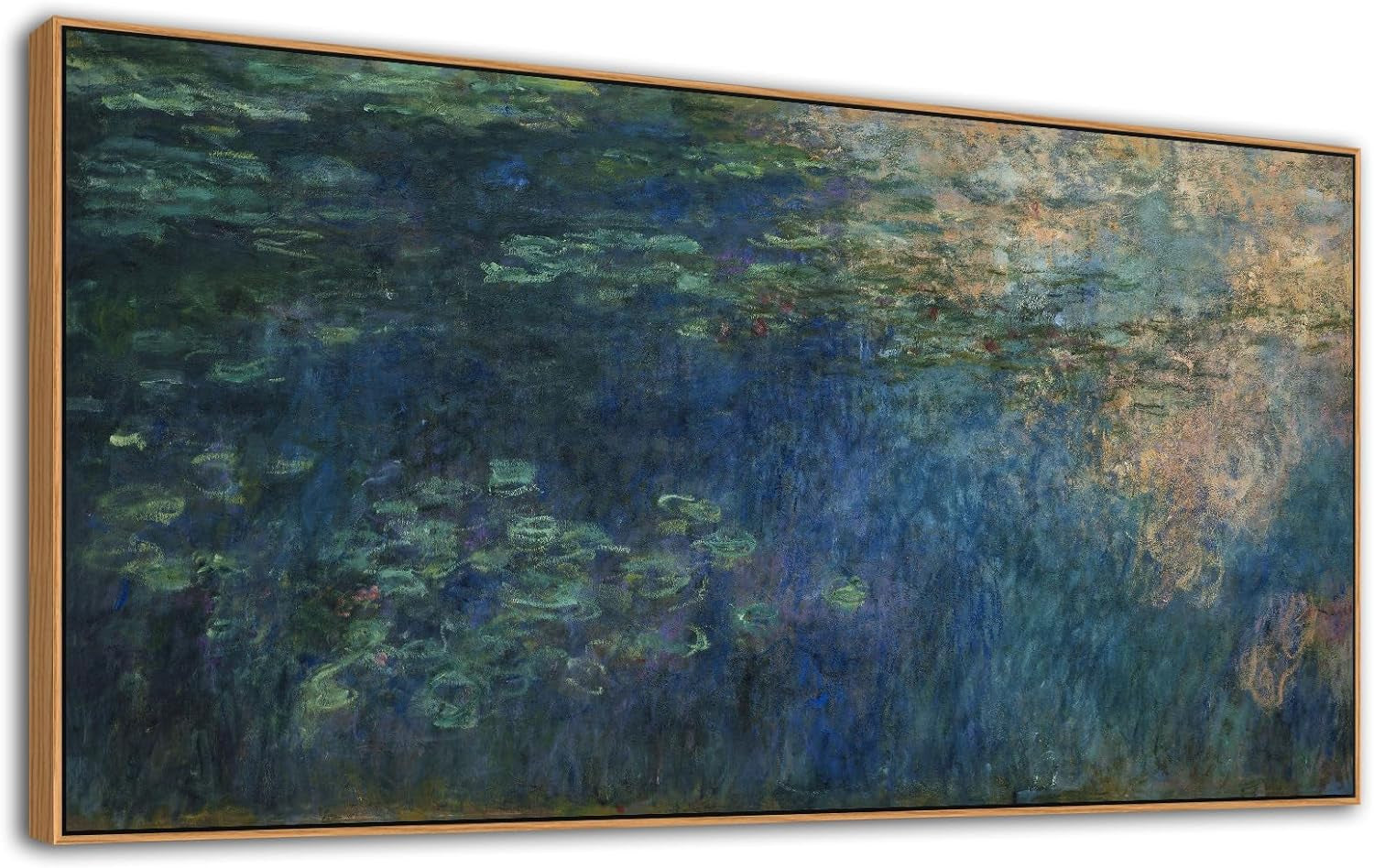 Water Lilies